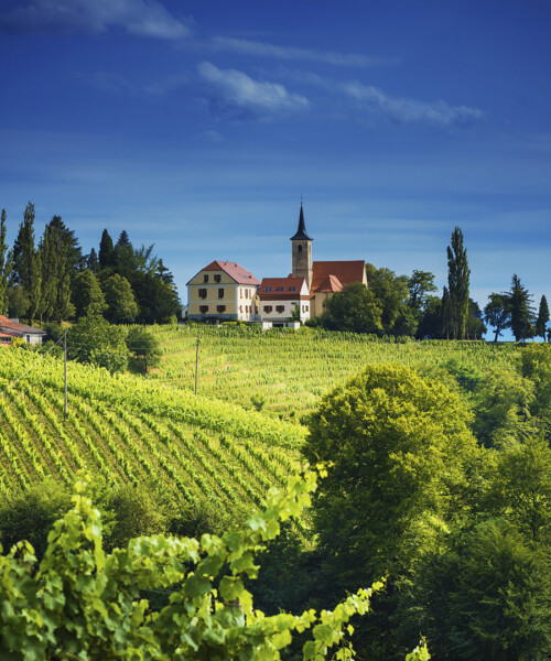 5 Family-Friendly Wine Regions