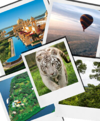 Adventures Make the Greatest Gifts