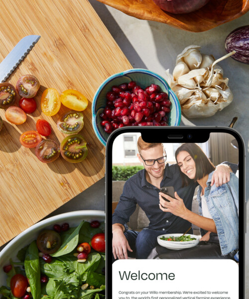 Meet Willo, Your Digital Farmers Market