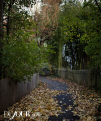 The Wonderful Homes of Riverdale