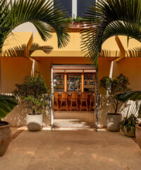 Our Favorite New Restaurants in Palm Beach Our Favorite New Restaurants in Palm Beach