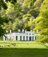 Inside the Guinness Family Home on the Irish Countryside