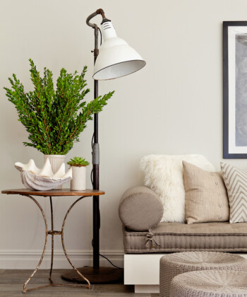 Designing a Modern Beach House