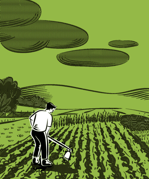 Wall Street Buys the Farm