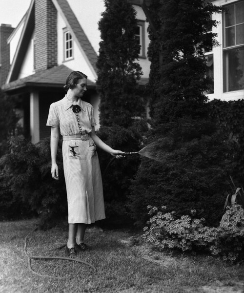 Let Them Drink Water