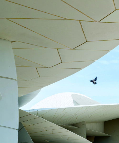 A Dazzling Desert Rose