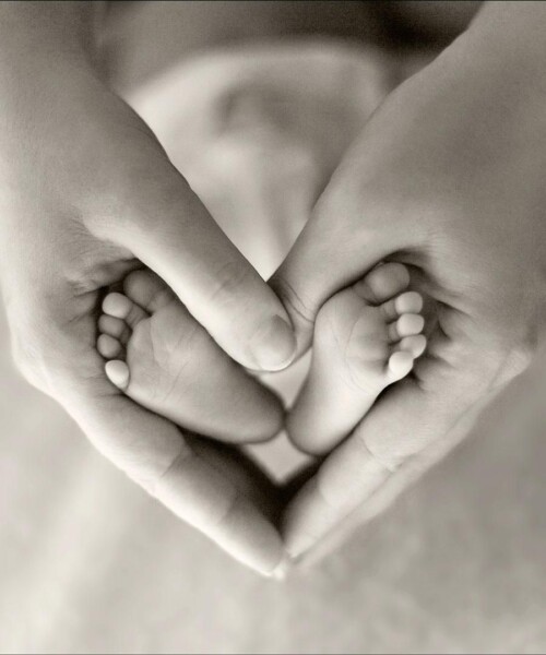 Meet The Baby (Making) Whisperers