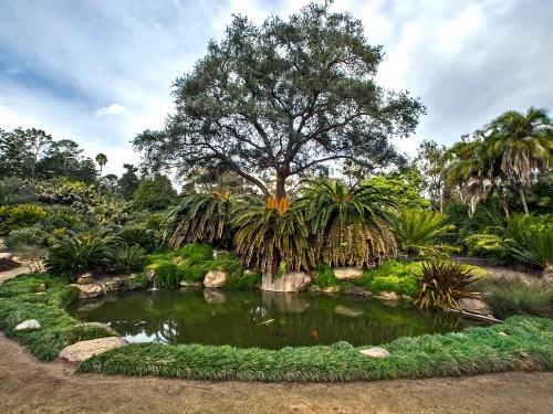 Lotusland