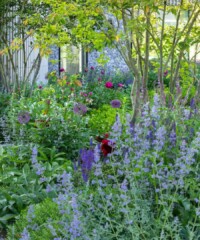 Decode Your Garden Style