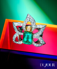 Taste The Gem Rainbow