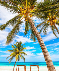 With over 30,000 properties across the East Coast and $20 billion in transactions, Carroll continues to set new standards in real estate investment and growth