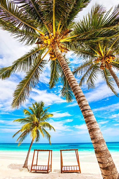 Boingo.ai Launches as Latin America’s Smartest Real Estate Platform