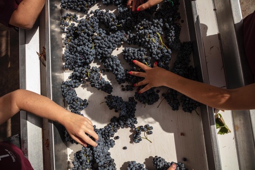 The Torre de Palma Wine Hotel