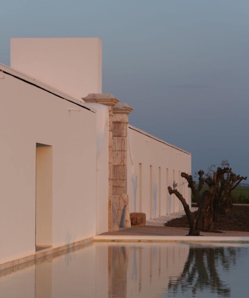 Wine and Unwind At The Torre de Palma Wine Hotel