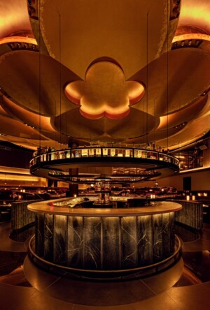 Cote Opens In Las Vegas