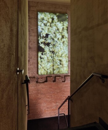 Bathing Culture Takes Center Stage In NYC Bathing Culture Takes Center Stage In NYC