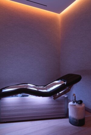 Dr. Robert Dorfman Arrives At The Spa by Equinox Hotels