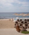 Room Request! Park Hyatt Cabo del Sol