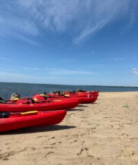 On the shores of Southampton, kids are learning lessons that extend far beyond summer camp. Here, the water is the classroom.