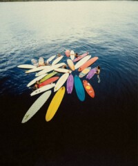 Surf’s Up This Summer