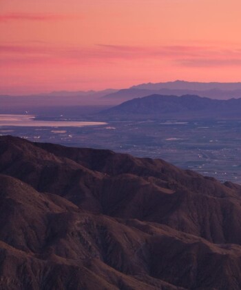 A Murder in Palm Springs