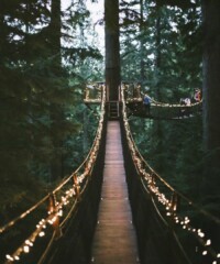 6 of the World’s Most Amazing Bridges