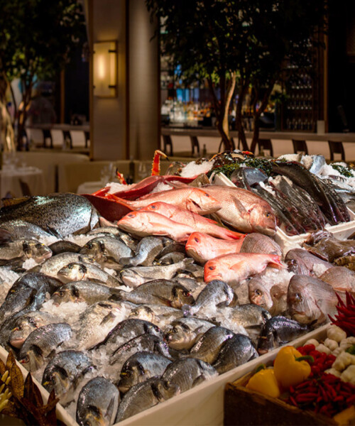 Coast-to-Coast Seafood Tips from Top Chefs