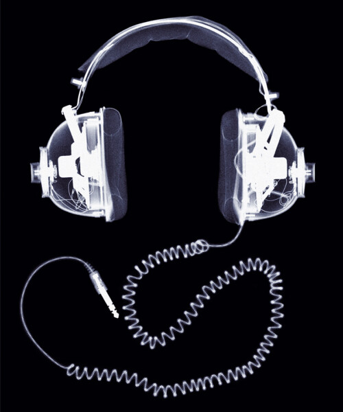 Celebrities Reveal Their Favorite Music