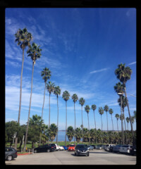 The Weekender: Del Mar, California