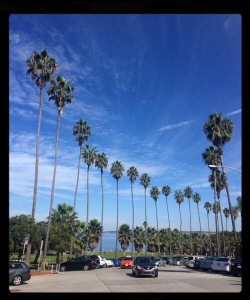 The Weekender: Del Mar, California