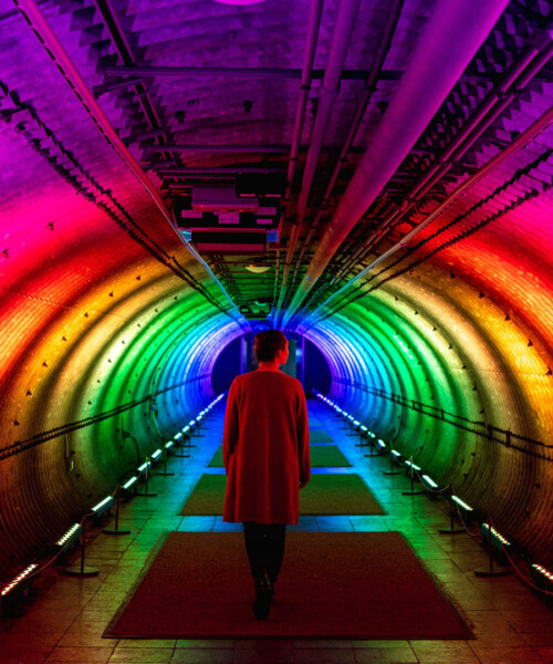 Go Inside The Annual Orchid Dinner