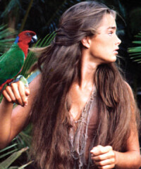 Spring Fashion Trends Are Running Wild