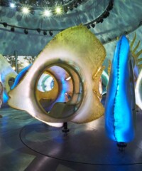 The Most Beautiful Things in the World Today