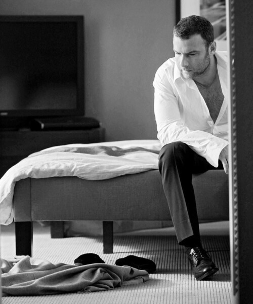 Liev Schreiber Is Ray Donovan