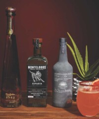 Mezcal and Tequila Are Perfect Fall Spirits Residential architecture styles across the globe are evolving right along with the way we live