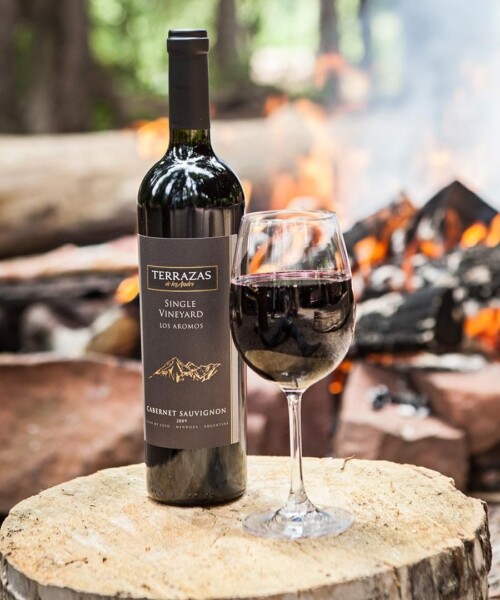 A Winery on the Rise