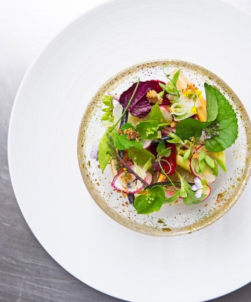 The Elm Grows In Brooklyn