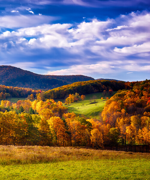 The Most Over-the-Top Way to Leaf Peep