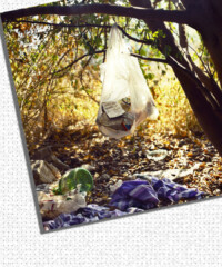 Behind the Exhibit: Anthony Hernandez