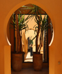 Travel Diary: Marrakech