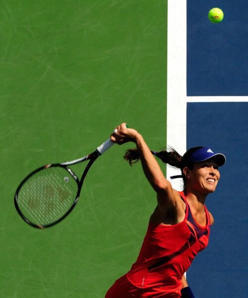 Coiffed for the Court