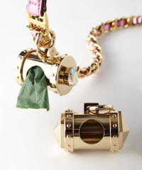 The Most Glamorous Dog Accessories