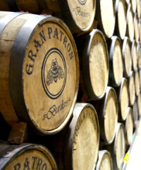 The Double Life of Patrón Tequila