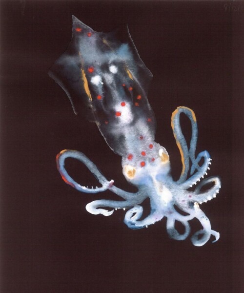 The Life of Alexis Rockman