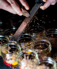 Meal Inspiration from a Few Special Moms