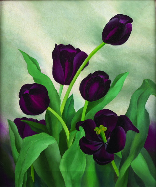 Female-Centric Art in Dallas, Texas