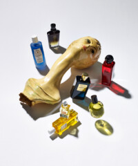 Ultimate Skin Rejuvenation