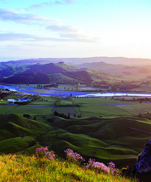 Living Luxe in New Zealand