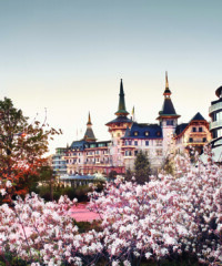 Finding The Fountain of Youth