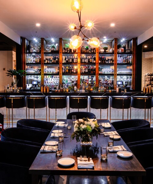 Your City Guide to Palm Beach